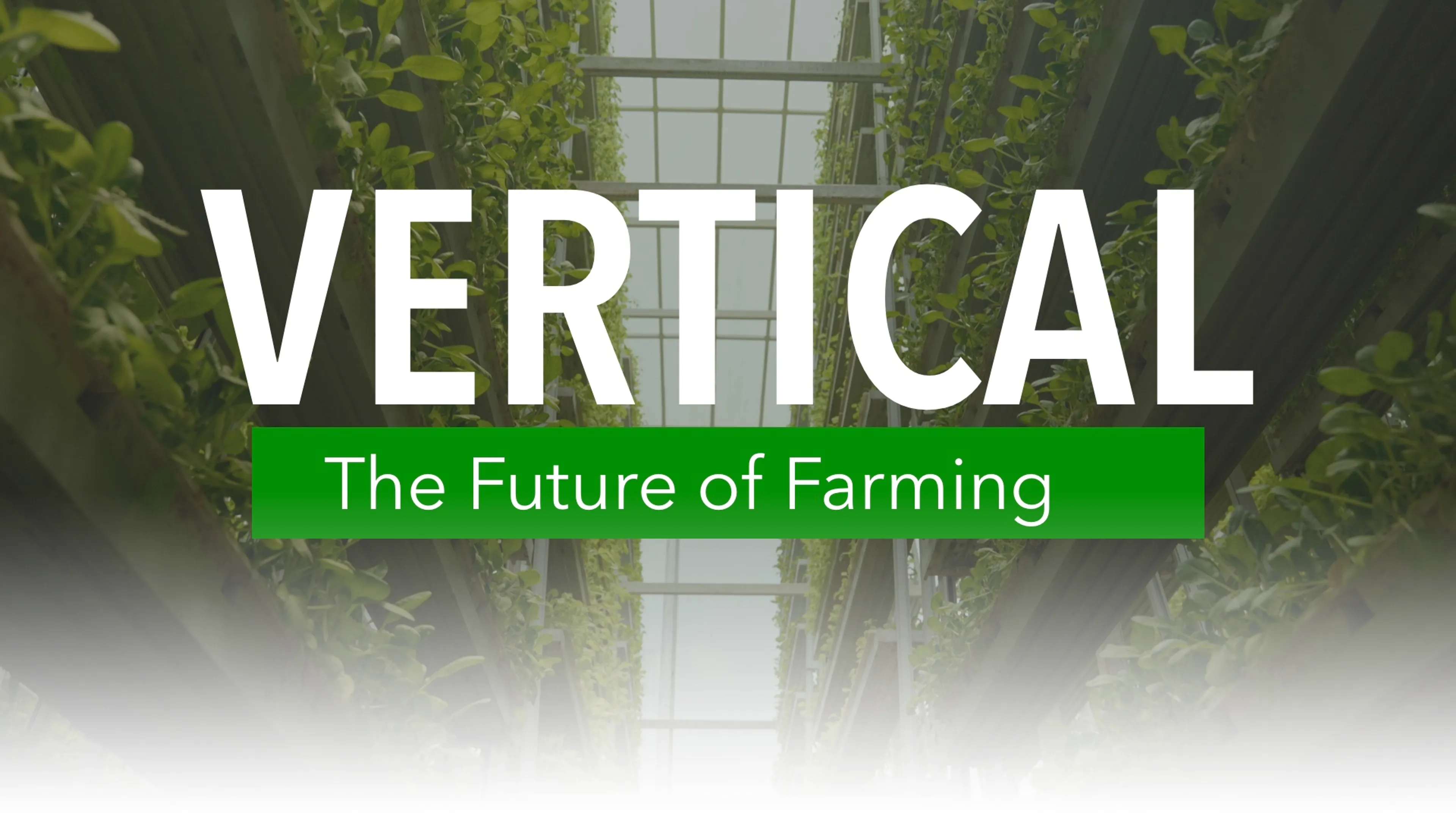 Vertical: The Future of Farming poster